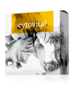 Cytovital szappan bioinformációs gyógynövény-koncentrátum