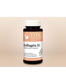 YiYa 2-es típusú Kollagén + Hialuronsav komplex - porc-, ízületvédő, hidratáló komplex